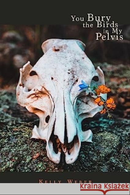 You Bury the Birds in My Pelvis Kelly Weber 9781632431240 Omnidawn Publishing - książka