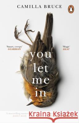 You Let Me In: The acclaimed, unsettling novel of haunted love, revenge and the nature of truth Camilla Bruce 9781784164508 Transworld Publishers Ltd - książka