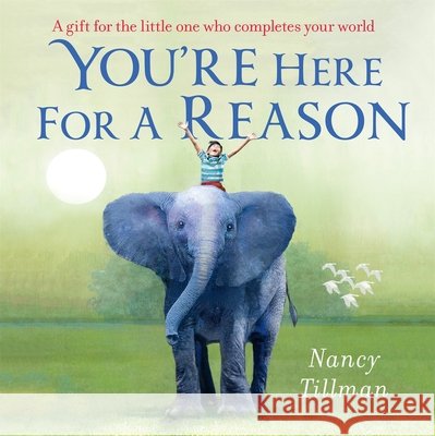 You're Here for a Reason Nancy Tillman 9781035002726 Pan Macmillan - książka