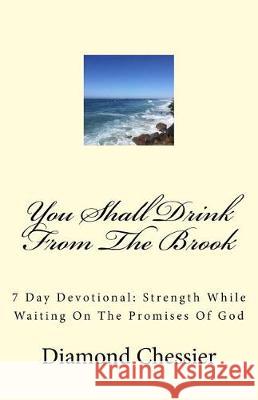 You Shall Drink From The Brook: 7 Day Devotional: Strength While Waiting On The Promises Of God Chessier, Diamond 9781721150755 Createspace Independent Publishing Platform - książka