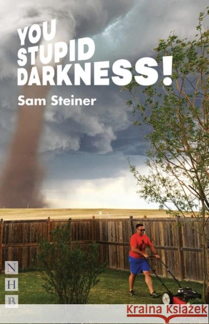 You Stupid Darkness! Sam Steiner 9781848428324 Nick Hern Books - książka