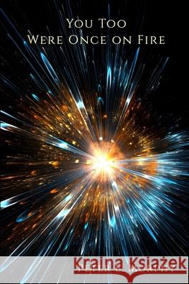 You Too Were Once on Fire Peter E. Murphy 9781947896840 Terrapin Books - książka