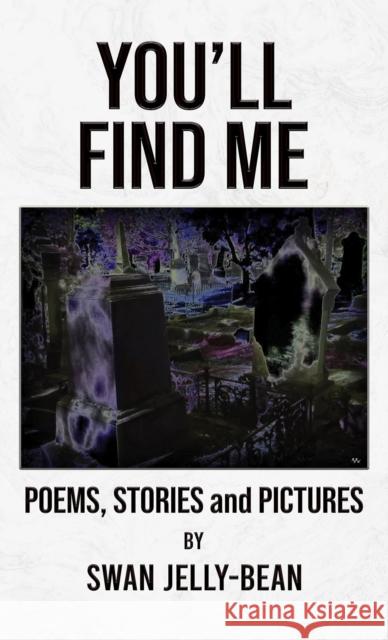 You’ll Find Me Swan Jelly-Bean 9781037110245 Austin Macauley Publishers - książka
