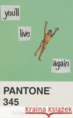 You'll Live Again: Collages by Fifer Horwitz Fifer Horwitz 9780986420443 Book Architecture - książka