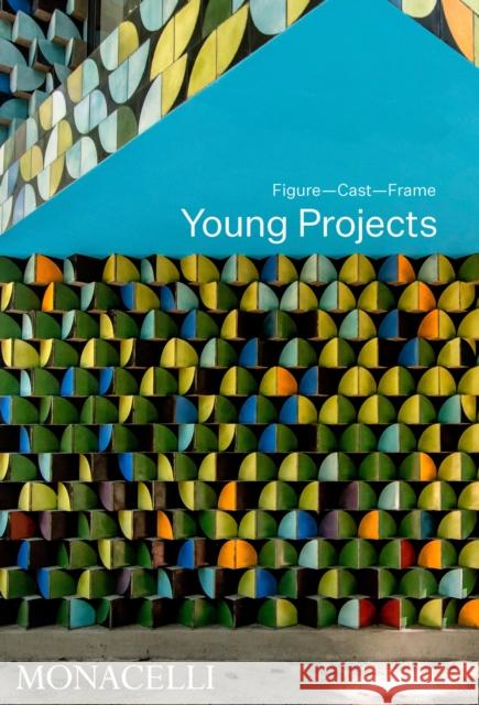 Young Projects: Figure, Cast, Frame Bryan Young Nader Tehrani Paola Lenti 9781580935982 Monacelli Press - książka