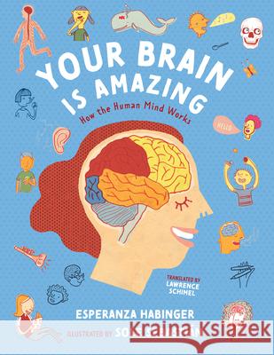 Your Brain Is Amazing: How the Human Mind Works Esperanza Habinger Sole Sebasti?n Lawrence Schimel 9781459832176 Orca Book Publishers - książka