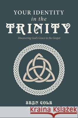 Your Identity in the Trinity Sean Cole Jeff Iorg 9781532673856 Wipf & Stock Publishers - książka