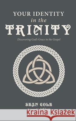 Your Identity in the Trinity Sean Cole, Jeff Iorg 9781532673863 Wipf & Stock Publishers - książka