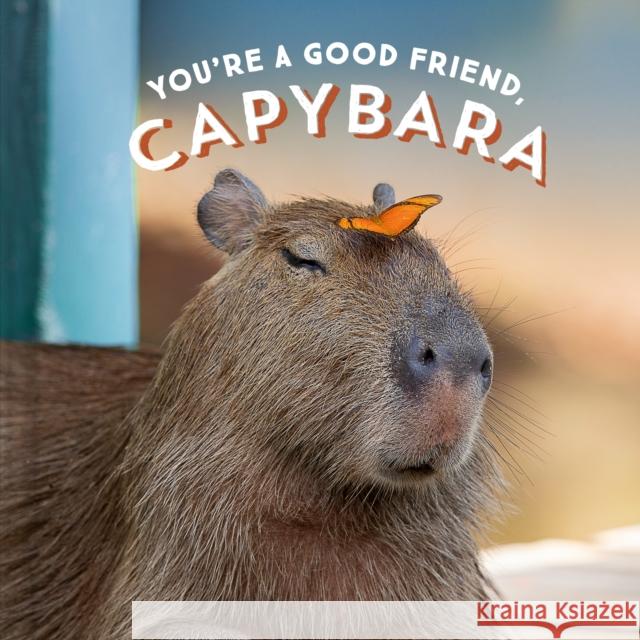 You're a Good Friend, Capybara Chronicle Books 9781797210575 Chronicle Books - książka