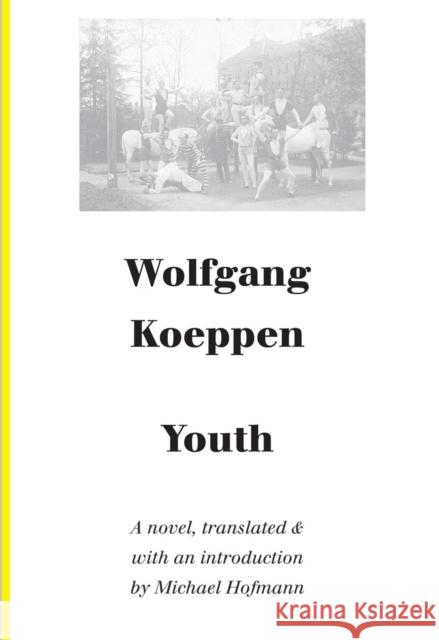 Youth Wolfgang Koeppen 9781628970500 Dalkey Archive Press - książka