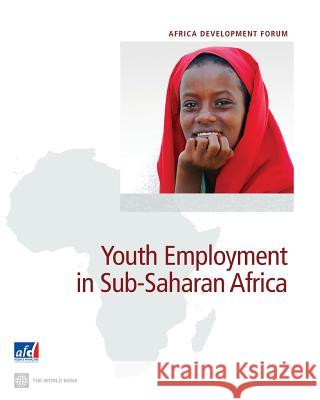 Youth Employment in Sub-Saharan Africa Filmer, Deon 9781464801075 World Bank Publications - książka
