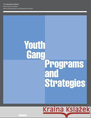Youth Gang Programs and Strategies U. S. Department of Justice 9781507630563 Createspace - książka