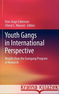 Youth Gangs in International Perspective: Results from the Eurogang Program of Research Esbensen, Finn-Aage 9781461416586 Springer, Berlin - książka