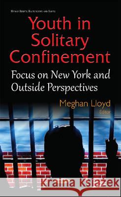 Youth in Solitary Confinement: Focus on New York & Outside Perspectives Meghan Lloyd 9781634835305 Nova Science Publishers Inc - książka