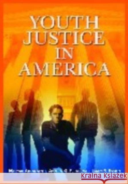 Youth Justice in America Maryam Ahranjani Andrew Ferguson Jamin B. Raskin 9781568029863 CQ Press - książka