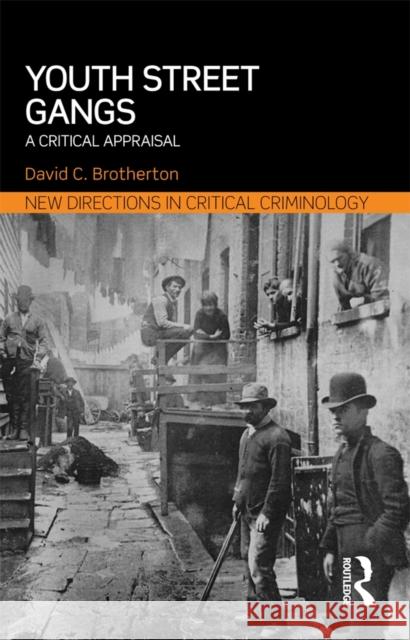 Youth Street Gangs: A Critical Appraisal David Brotherton 9780415856270 Routledge - książka