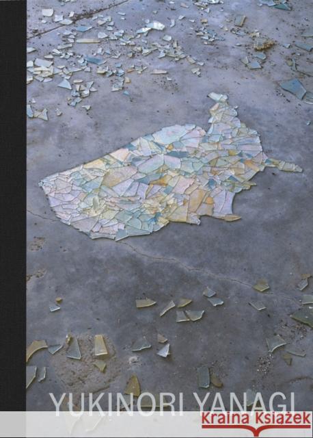 Yukinori Yanagi Yukinori Yanagi 9780998736044 Blum & Poe - książka