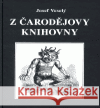 Z čarodějovy knihovny Josef Veselý 9788086226699 Vodnář - książka