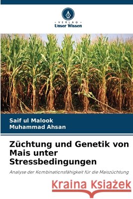 Z?chtung und Genetik von Mais unter Stressbedingungen Saif Ul Malook Muhammad Ahsan 9786630253429 Verlag Unser Wissen - książka