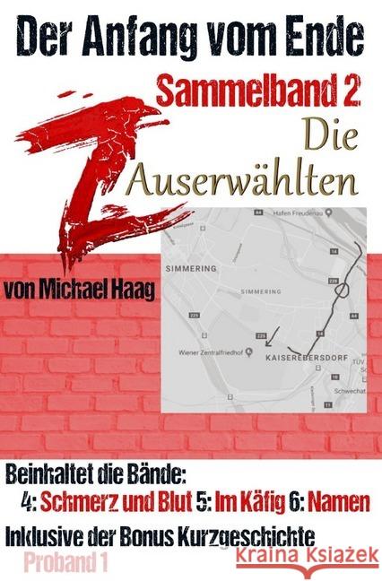 Z: Die Auserwählten (Sammelband 2) : Der Anfang vom Ende Haag, Michael 9783748577331 epubli - książka