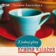 Z jednej gliny audiobook Liliana Fabisińska 9788381942300 Storybox - książka