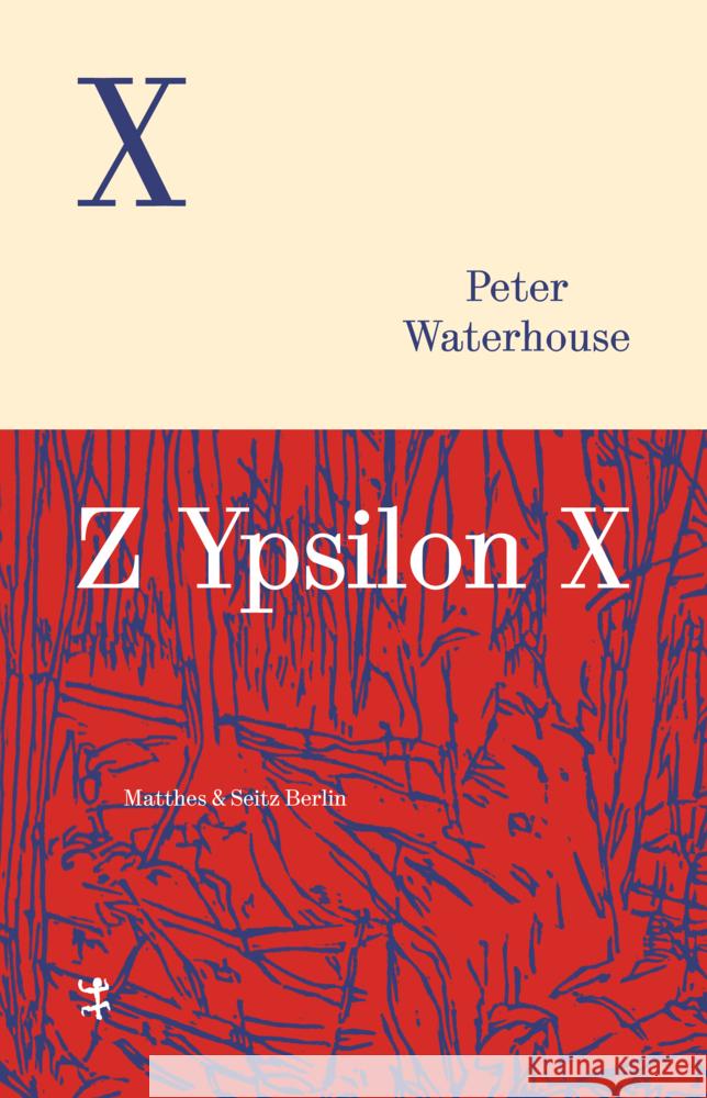 Z Ypsilon X Waterhouse, Peter 9783751810494 Matthes & Seitz Berlin - książka