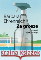 Za grosze. Pracować i (nie)przeżyć Barbara Ehrenreich, Barbara Gadomska 9788367216937 Relacja - książka