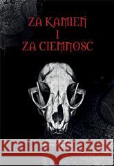 Za kamień i za ciemność Sonia Korta, Piotr T. Dudek 9788366767447 Alegoria - książka