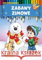 Zabawy zimowe ŁAPTOS MARCIN 9788395849671 HOTBOOK - książka
