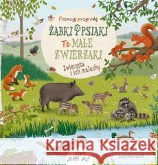 Żabki i psiaki. Te małe zwierzaki Sibylle Schumann, Lucy Barnard, dr Magdalena Jało 9788383530475 Jedność - książka