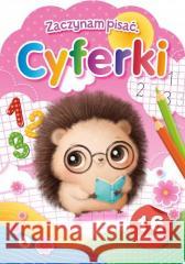 Zaczynam pisać. Cyferki Wioleta Żyłowska 9788382077117 Skrzat - książka