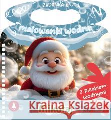 Zadanka & malowanki wodne. Mikołaj Wioleta Żyłowska 9788383980621 Skrzat - książka