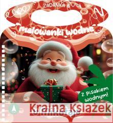Zadanka & malowanki wodne. U Mikołaja Wioleta Żyłowska 9788383980676 Skrzat - książka