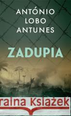 Zadupia António Lobo Antunes 9788384030431 Noir sur Blanc - książka
