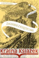 Zaginieni z Księżycowa. Lustrzanna Tom 2 DABOS CHRISTELLE 9788363156817 ENTLICZEK - książka