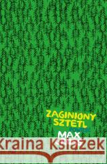 Zaginiony sztetl Max Gross 9788373505575 Finebooks - książka