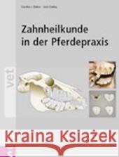 Zahnheilkunde in der Pferdepraxis Baker, Gordon J. Easley, Jack  9783877065921 Schlütersche - książka