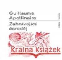 Zahnívající čaroděj František Štorm 9788087705315 RUBATO - książka