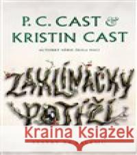 Zaklínačky potíží P. C. Castová 9788027701735 King Cool - książka