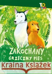 Zakochany grzeczny pies Wojciech Cesarz, Katarzyna Terechowicz, 9788382082982 Literatura - książka