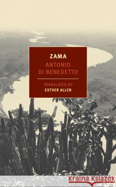 Zama Antonio Di Benedetto, Esther Allen 9781590177174 The New York Review of Books, Inc - książka