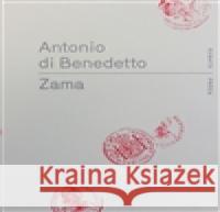 Zama Antonio Di Benedetto 9788087705063 RUBATO - książka