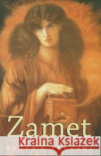 Zamęt. Opowieść o czasach i życiu Mickiewicza Załuski Piotr S. 9788362649020 a linea - książka