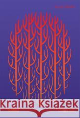 Zamierzch Jacek Świłło 9788368140378 Mamiko - książka