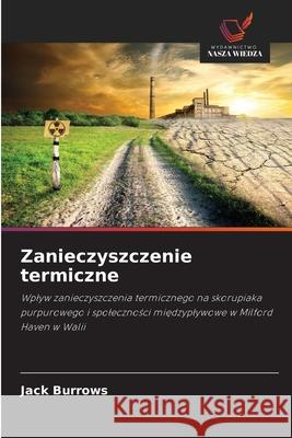 Zanieczyszczenie termiczne Burrows, Jack 9786208726119 Wydawnictwo Nasza Wiedza - książka