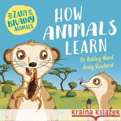 Zany Brainy Animals: How Animals Learn  9781526323934 Hachette Children's Group - książka