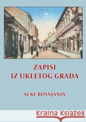 Zapisi iz ukletog grada Anna Guttorp Acke Bosnjanin 9789176991992 Books on Demand - książka