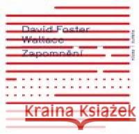 Zapomnění David Foster Wallace 9788087705865 RUBATO - książka