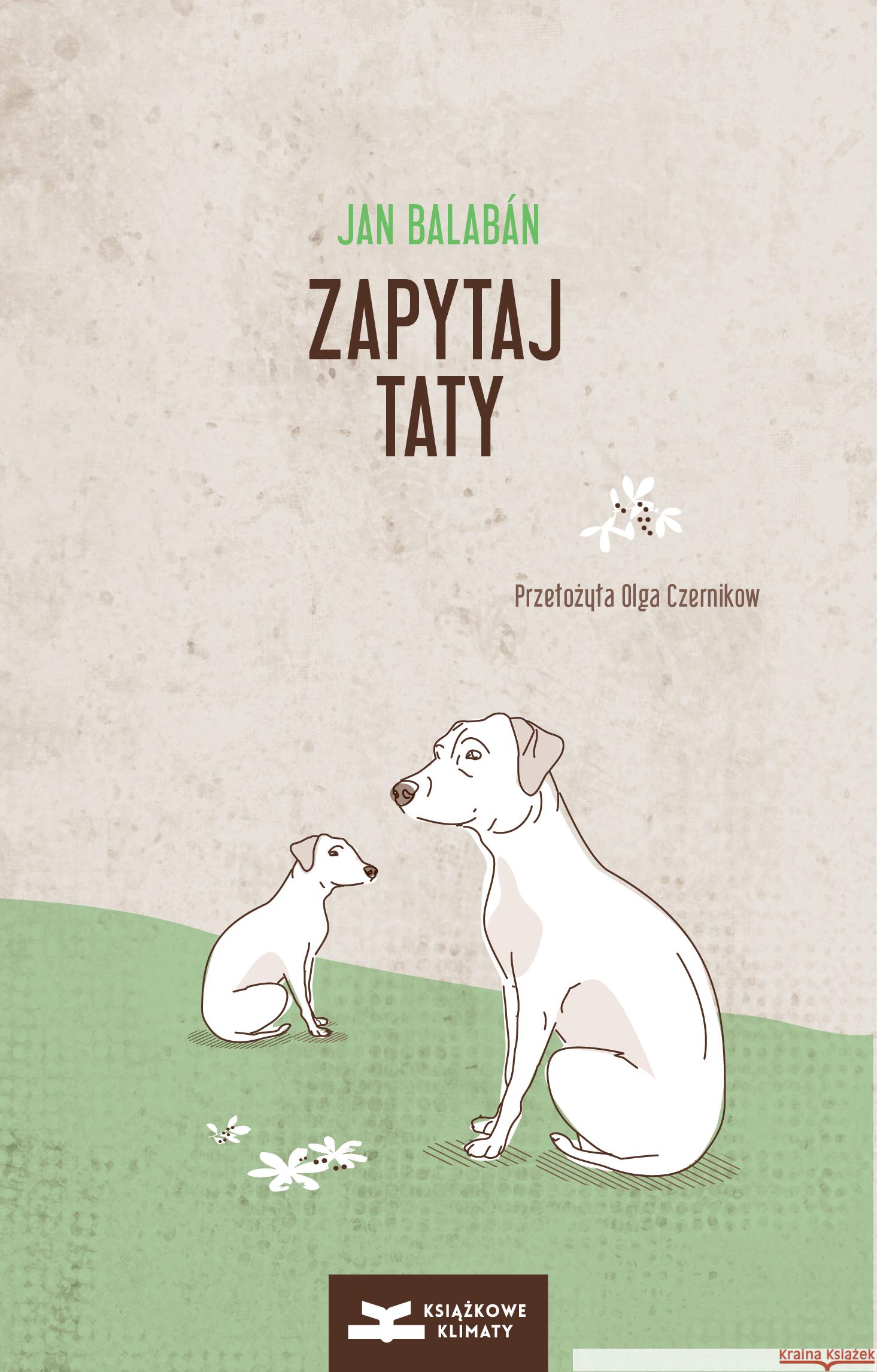 Zapytaj taty Jan Balabán 9788364168048 Książkowe Klimaty - książka