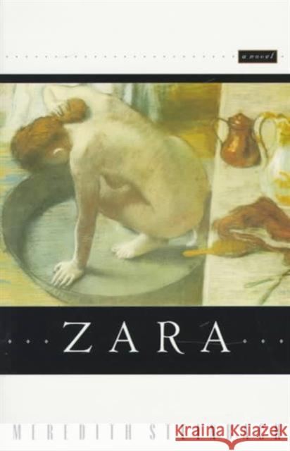 Zara Meredith Steinbach 9780810150591 Triquarterly Books - książka